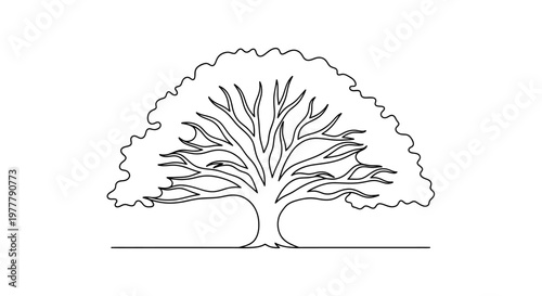 A stylized, one-line drawing depicts a large tree with a rounded canopy and branching limbs against a white background