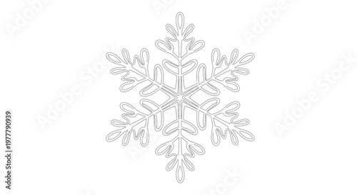 Delicate, symmetrical gray snowflake outline on a white background