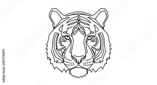 Bold, outlined tiger face with intense eyes and striped markings