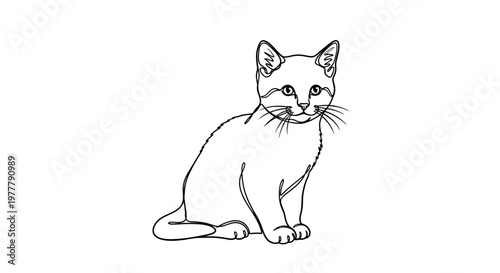 Continuous line drawing of a sitting cat