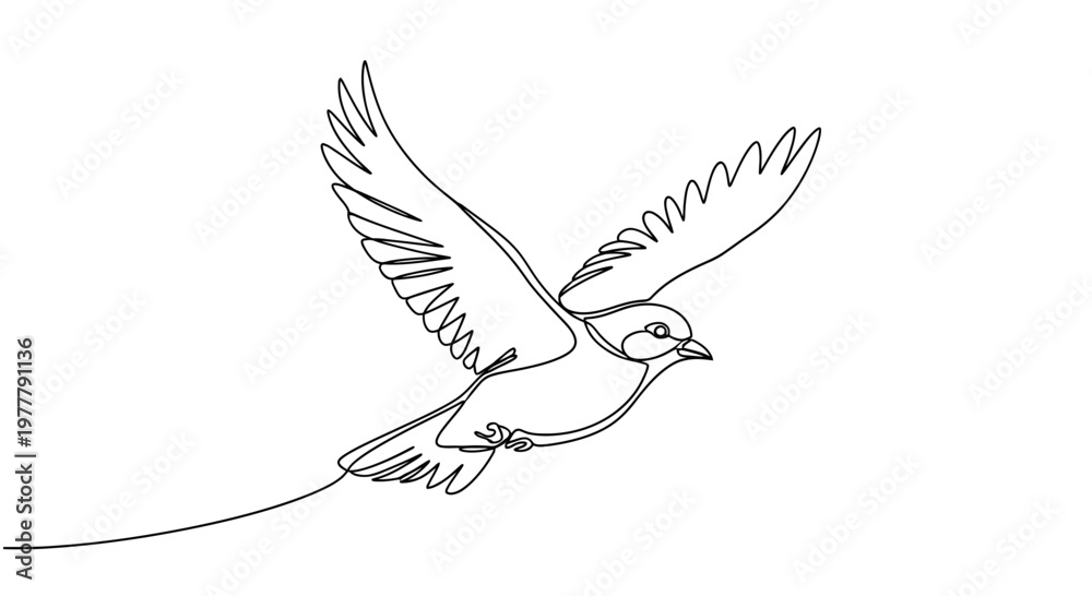 Obraz premium A simple black line drawing depicts a bird in flight