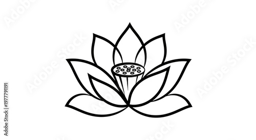 Stylized black outline of a lotus flower with a seed pod