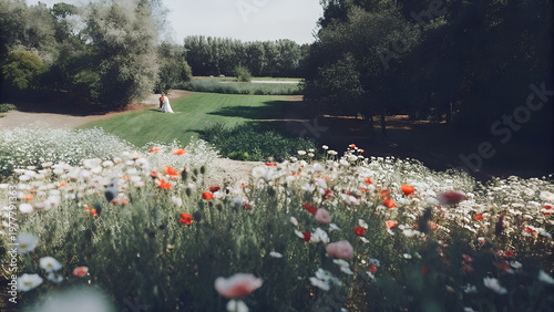 meadow