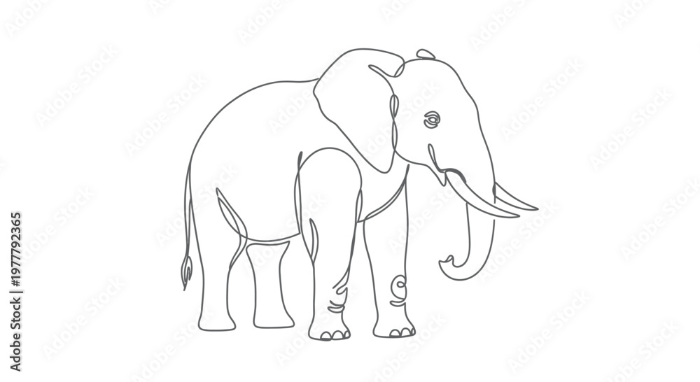 Fototapeta premium A simple, continuous line drawing of an elephant facing right