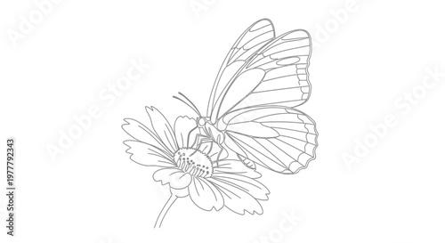 Delicate line drawing of a butterfly perched on a simple flower