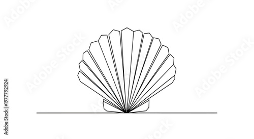 Stylized line art of an open shell with radiating lines on a horizontal line