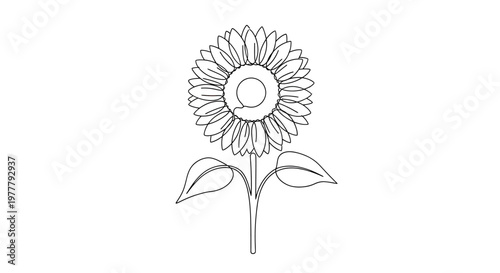 Simple black outline of a sunflower with leaves on a white background