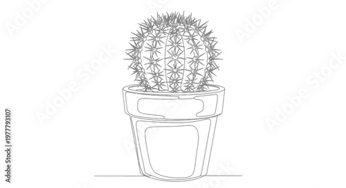 Simple line drawing of a potted, spiky, round cactus