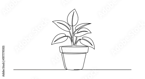 Minimalist line art of a potted plant with leaves and stem