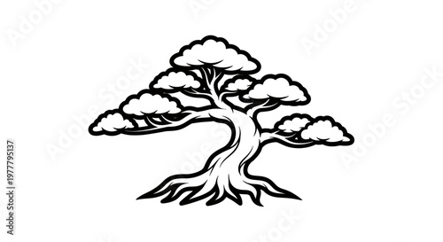 Stylized bonsai tree with flowing branches and cloud-like foliage