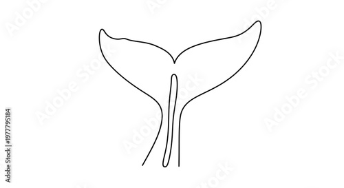 Minimalist outline of a whale's tail fin, elegant and fluid