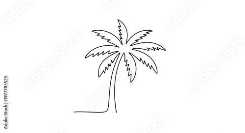Simple line art of a palm tree with fronds spread widely