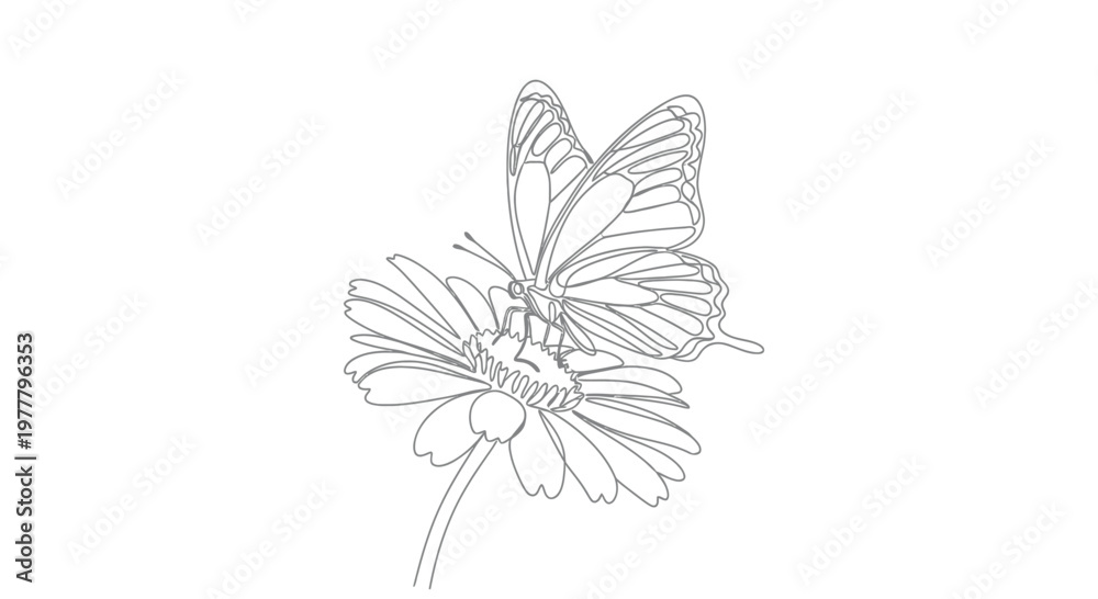 Obraz premium Delicate line art of a butterfly perched on a flower