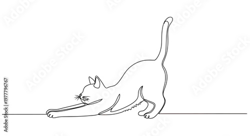 Single-line drawing of a cat stretching, with paws extended