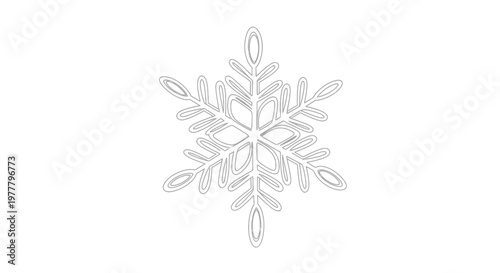 Stylized six-pointed crystalline ice formation outline against white