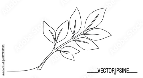 Delicate single line drawing of a plant stem with multiple leaves
