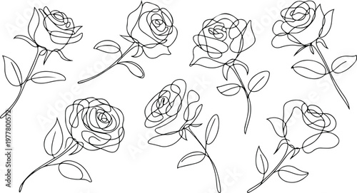 Elegant black and white rose collection with detailed petals and stems modern botanical line art illustration