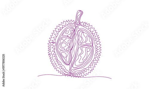 Hand-sketched durian created on a tablet with a continuous line technique and finalized as a vector file.