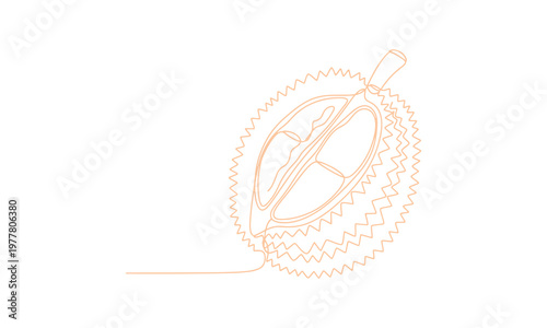 Tablet-drawn durian artwork in a single continuous line doodle, later converted into a clean vector graphic.