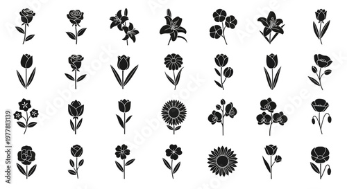 Black and White Flower Icons Set: Vector Illustrations of Various Floral Designs