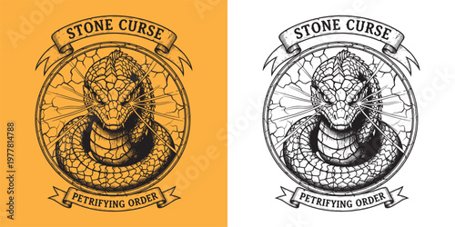 Stone Curse Petrifying Order Illustration of Gorgon Medusa Snake within Cracked Frame