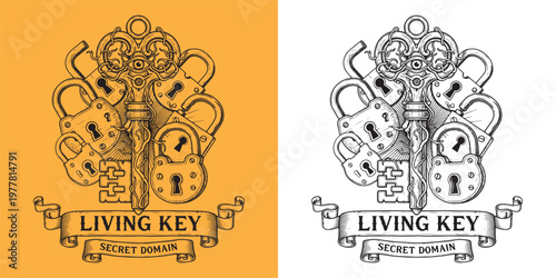 Living Key Secret Domain Illustration of Sentient Eye Key with Multiple Padlocks