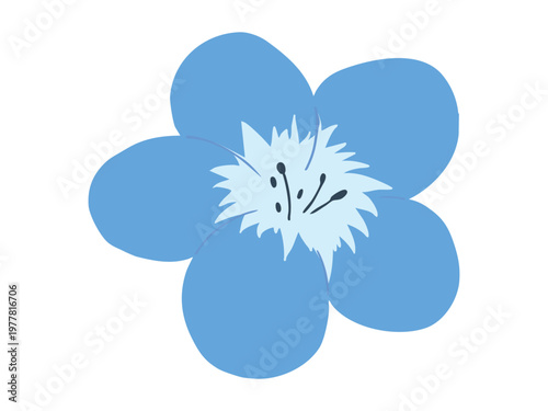 ネモフィラ 主線なし