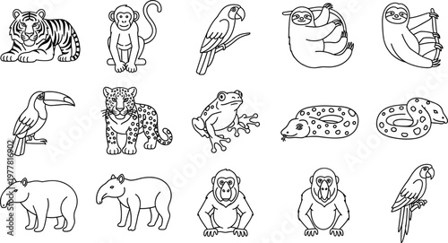 Vector Illustration Set of Rainforest Animals Including Tigers, Monkeys, Parrots, Sloths, and Snakes