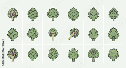 Artichoke Collection: Whole, Cut, and Sliced Views on a Neutral Background