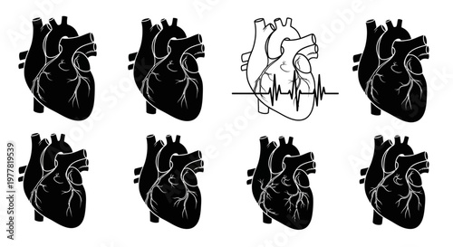 Human Heart Anatomy Icons with ECG Line: Black and White Vector Graphics