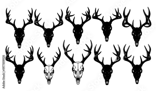 Deer skull silhouette vector set realistic antler skeleton collection isolated on white background
