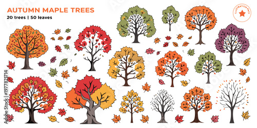 Autumn maple trees and falling leaves illustration pack with various fall colors and styles white background colorful illustration seasonal branches deciduous collection