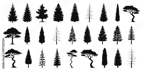 Diverse collection of tree silhouettes including coniferous and deciduous types in various shapes and profiles with silhouettes collection coniferous deciduous isolated background