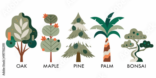 Abstract geometric style illustrations of five diverse tree species including oak maple pine palm bonsai with unique textures and shapes plant life flat design abstract geometric