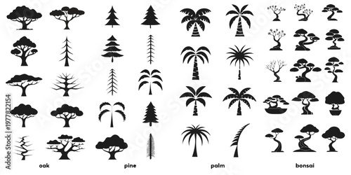 Extensive collection of black silhouette tree icons featuring oak pine palm bonsai varieties with type labels design element graphic resource silhouettes collection different