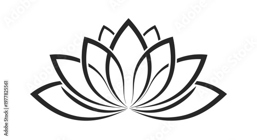 Black and white lotus flower illustration.