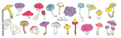 カラフルなキノコのイラスト素材