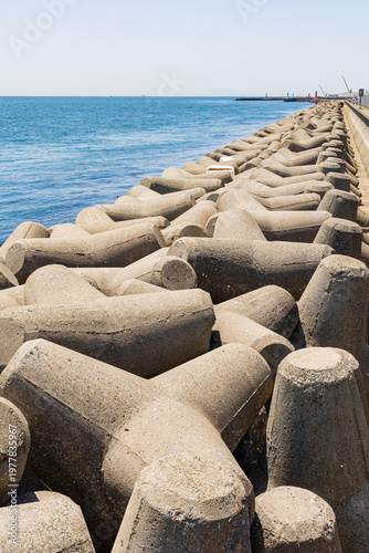 大蔵海岸の消波ブロック