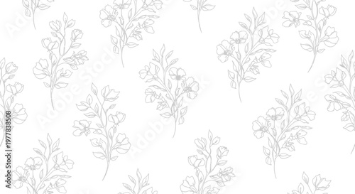 Botanical illustration of various plant species.