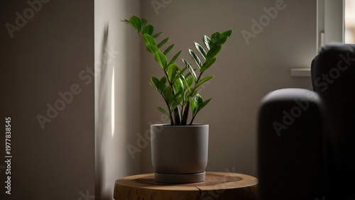 シンプルな白鉢に入った鮮やかな緑の観葉植物が自然木のテーブルに置かれ窓から注ぐ強い光が豊かな葉一枚一枚と壁に印象的な光と影のコントラストを生み出し室内空間に静かで奥深い雰囲気を醸し出す. AI Generated