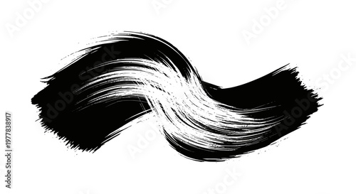 Black and white abstract brush stroke.