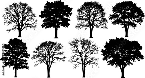 various deciduous trees silhouettes on the white background