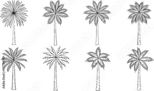 Black and White Palm Tree Icon Set with Various Tropical Designs for Nature, Landscape, and Botanical Illustrations