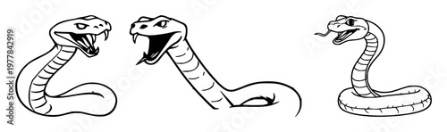Snake set with minimalist black line art design featuring strike pose, fangs, reptile with serpent and viper