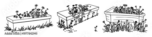 Coffin set with minimalist line art illustration of a coffin topped by growing wildflowers featuring coffins, flowers, line art with white background and botanical.