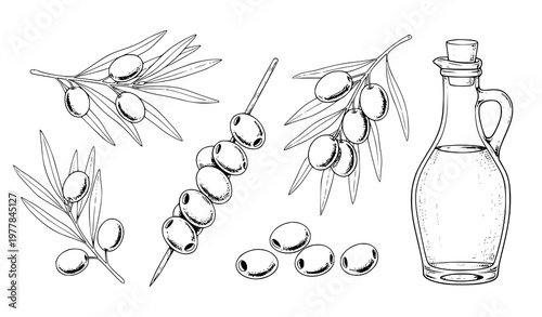 Olive doodle vector set with branch olives and oil bottle hand drawn illustration