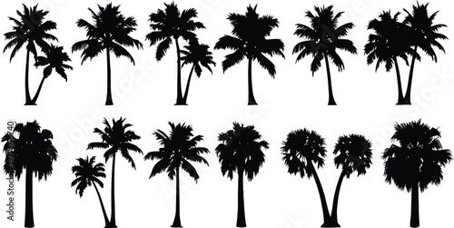 Palm Tree Silhouettes Set Vector, Tropical Coconut Trees Collection Isolated on White Background