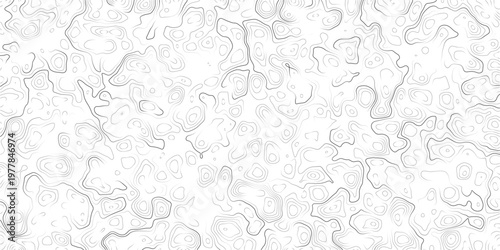 Gray abstract topographic map contours on white background texture