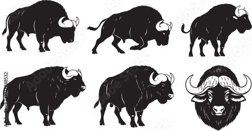 Black and white bison silhouettes in various poses