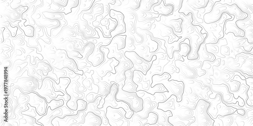 Gray abstract topographic map pattern with wavy lines and contours on white background